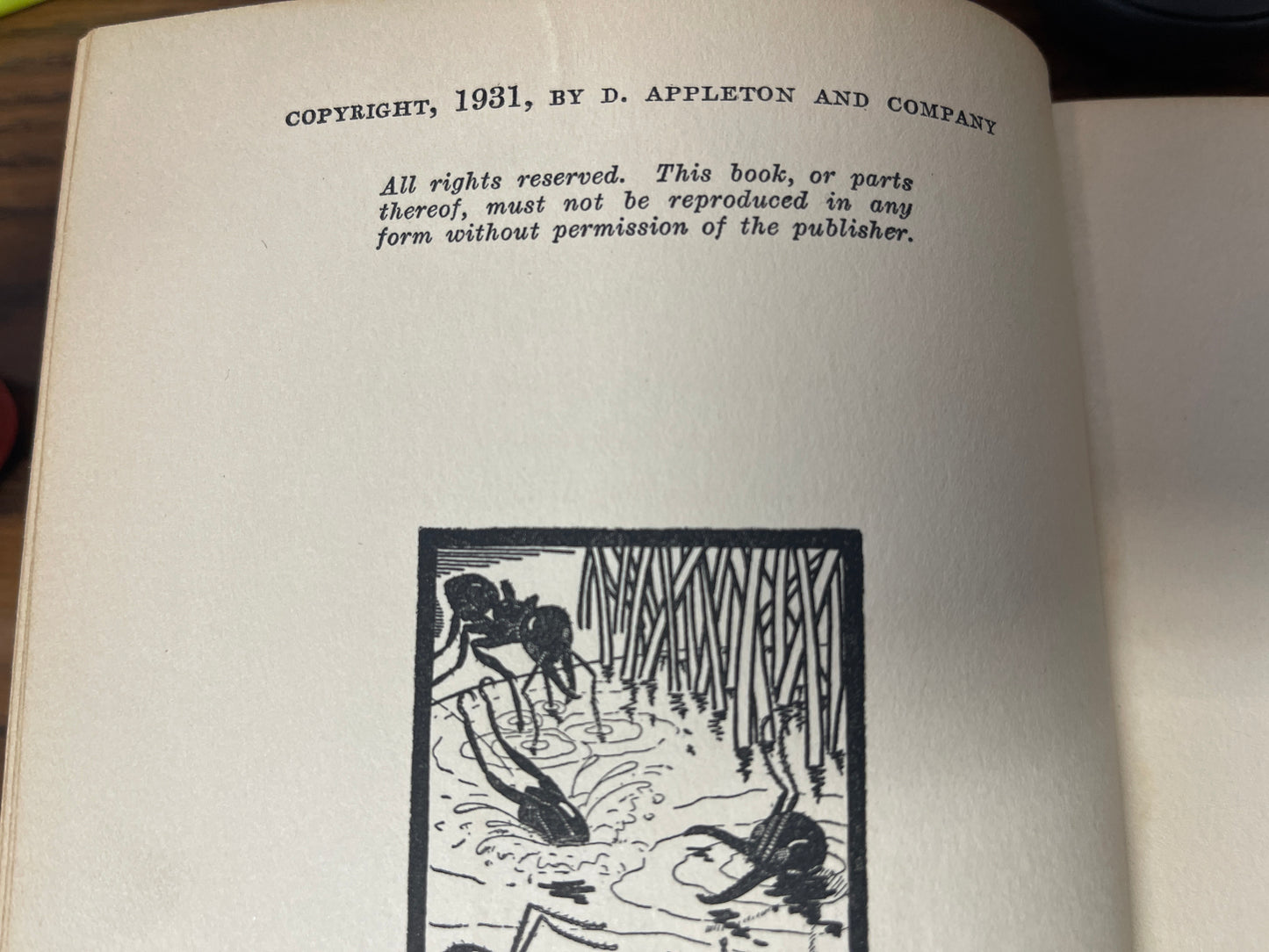 The Astonishing Ant