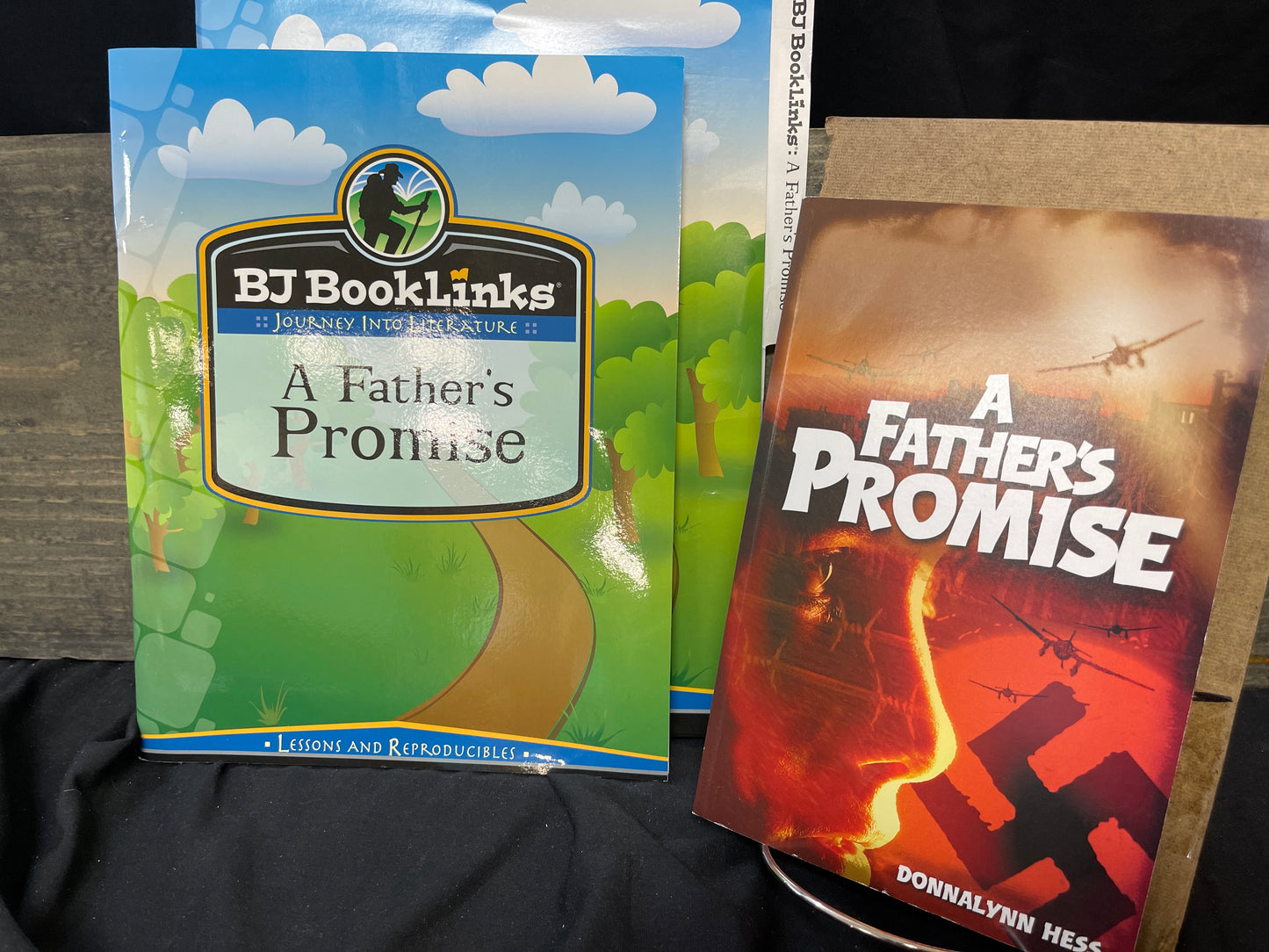 BJU Booklinks A Father's Promise