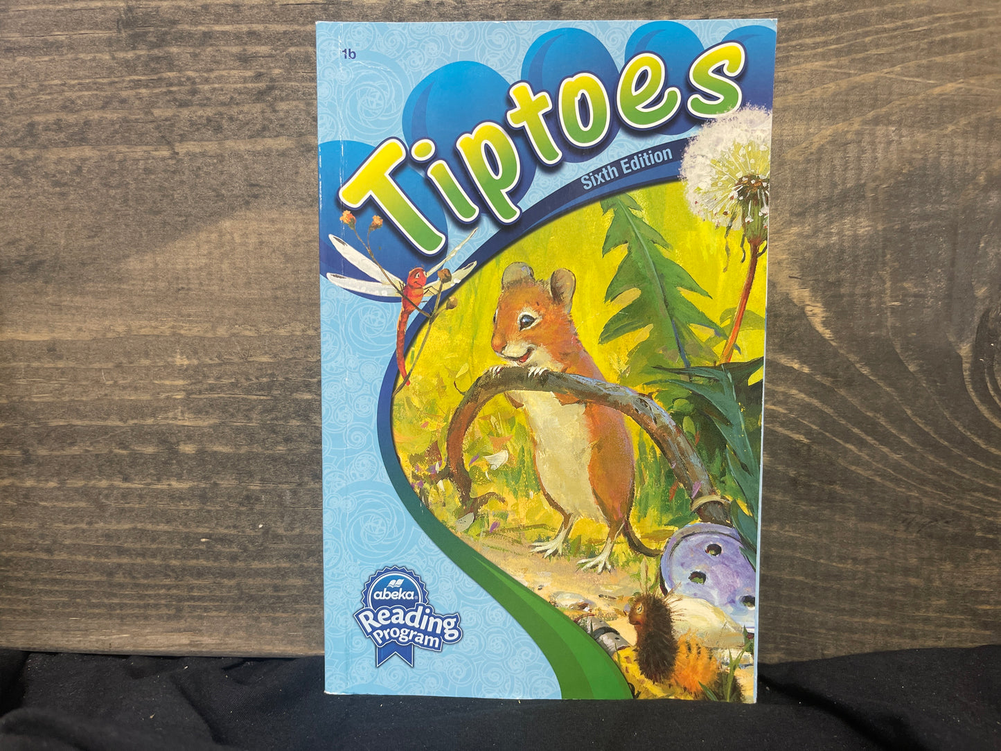 Tiptoes sixth ed