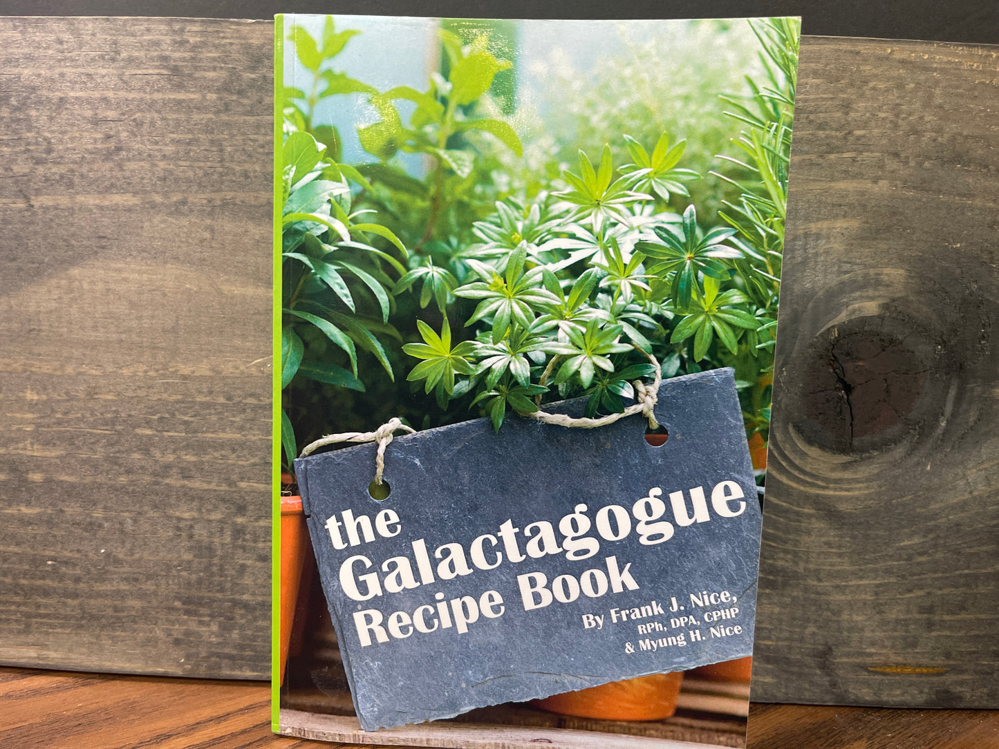 The Galactagogue Recipe Book