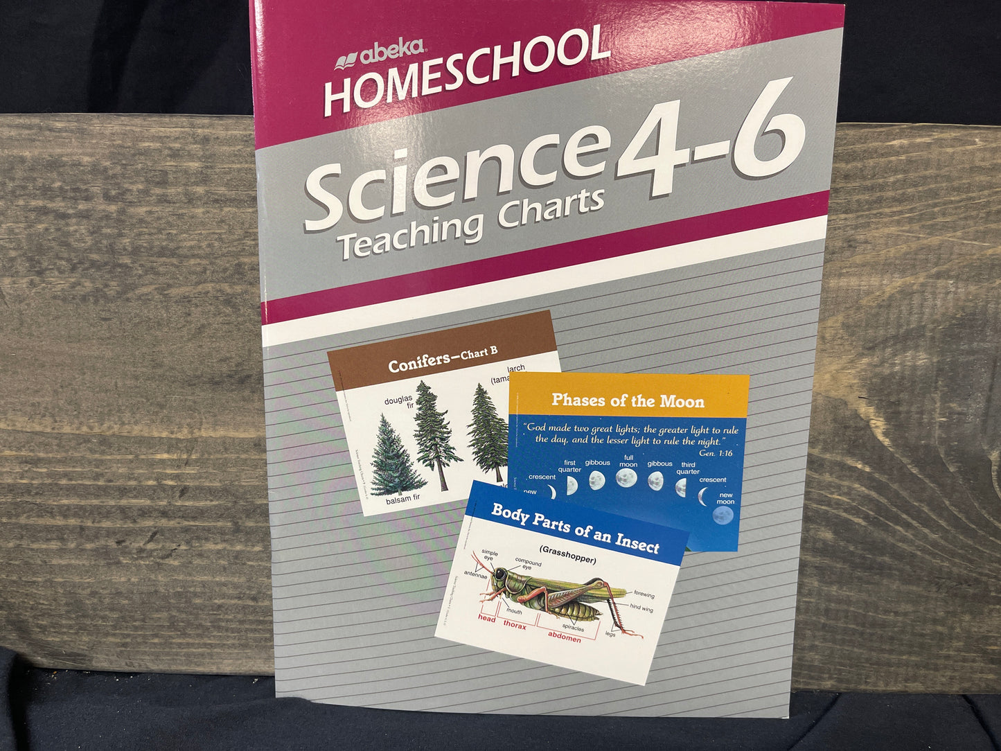 Homeschool Science 4-6 Teaching Charts
