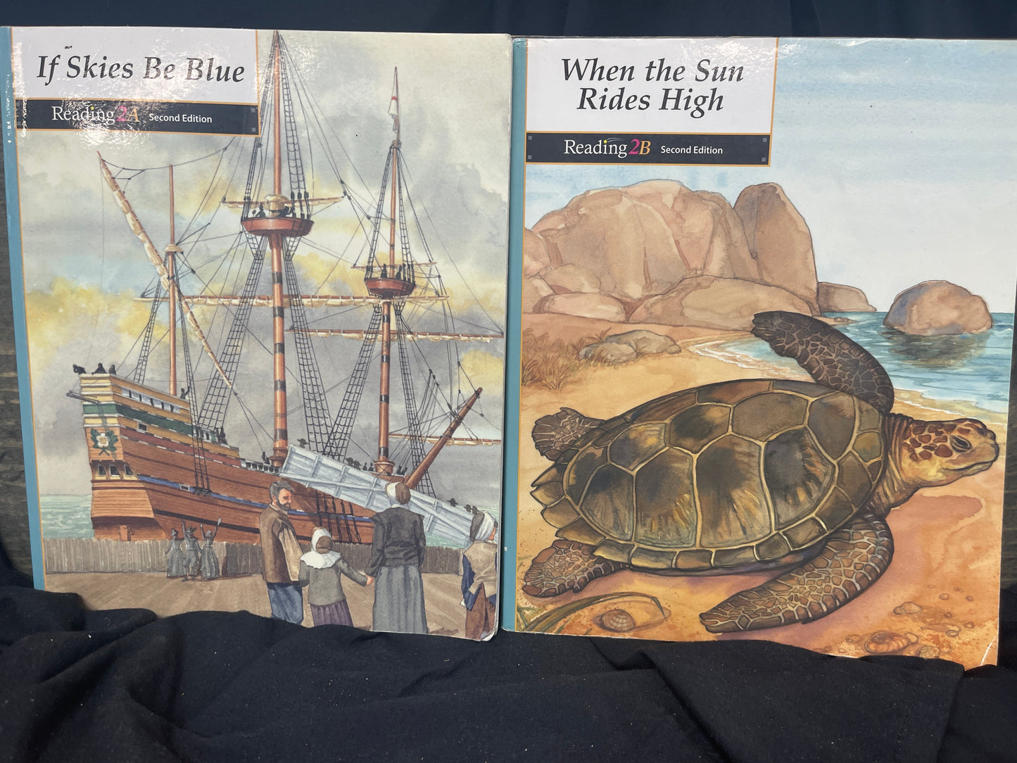 Reading 2A and 2B second ed set
