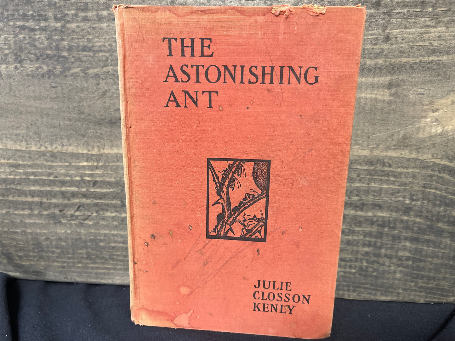 The Astonishing Ant