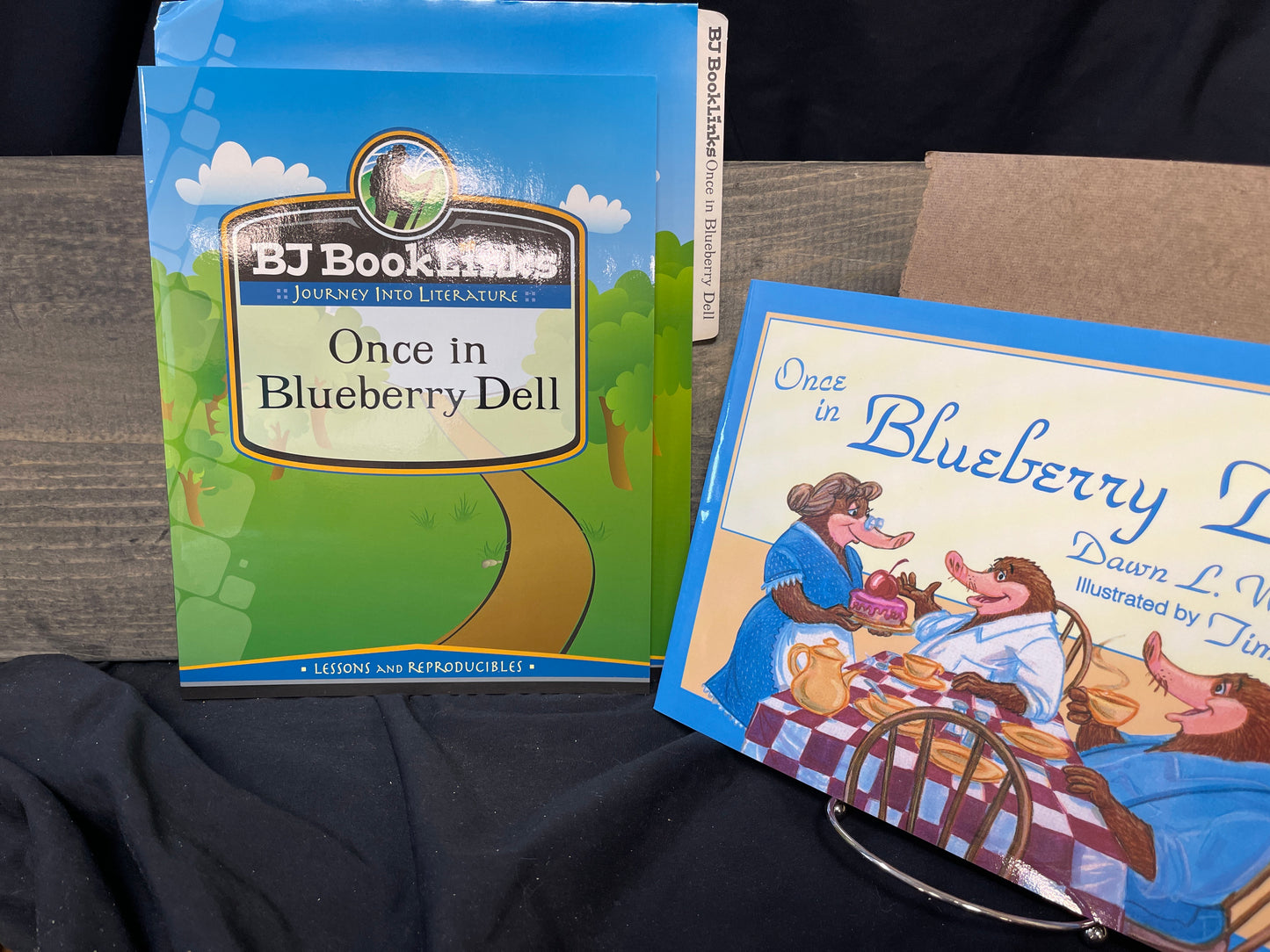 BJ Booklinks Once in Blueberry Dell