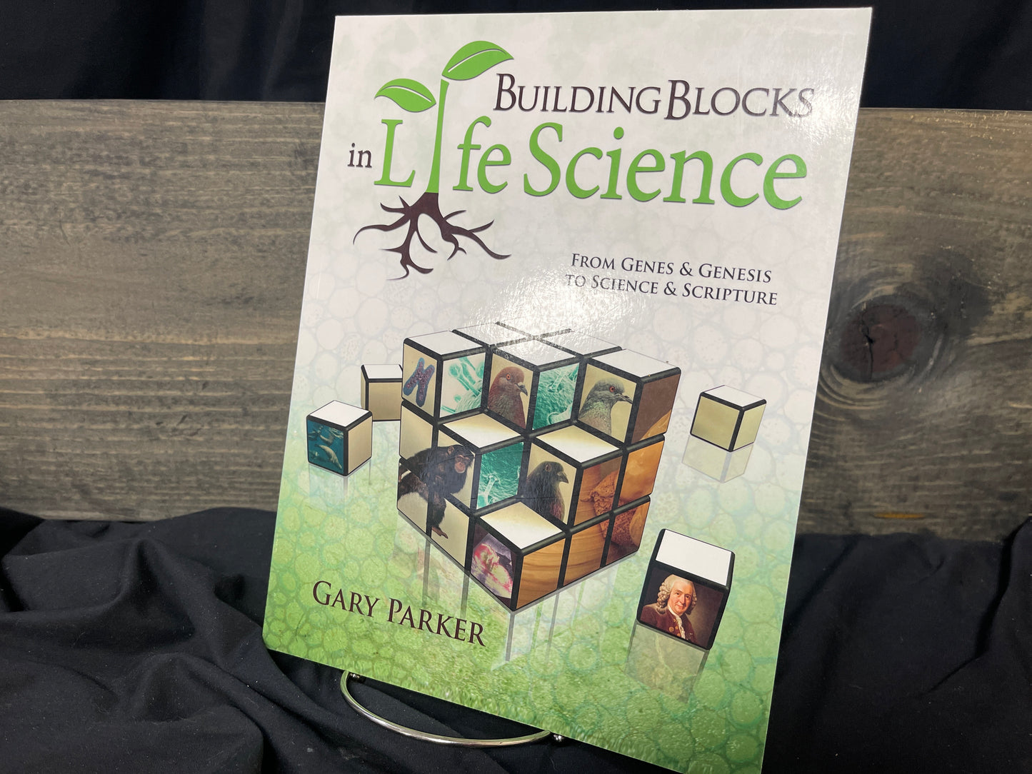 Building Blocks in Life Science