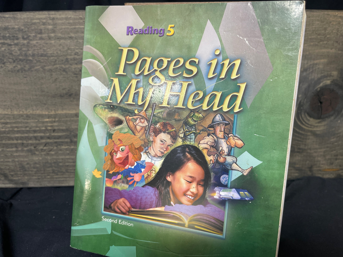 Reading 5 Pages in My Head second ed