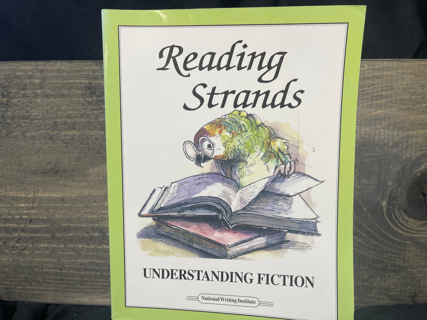 Reading Strands: Understanding Fiction