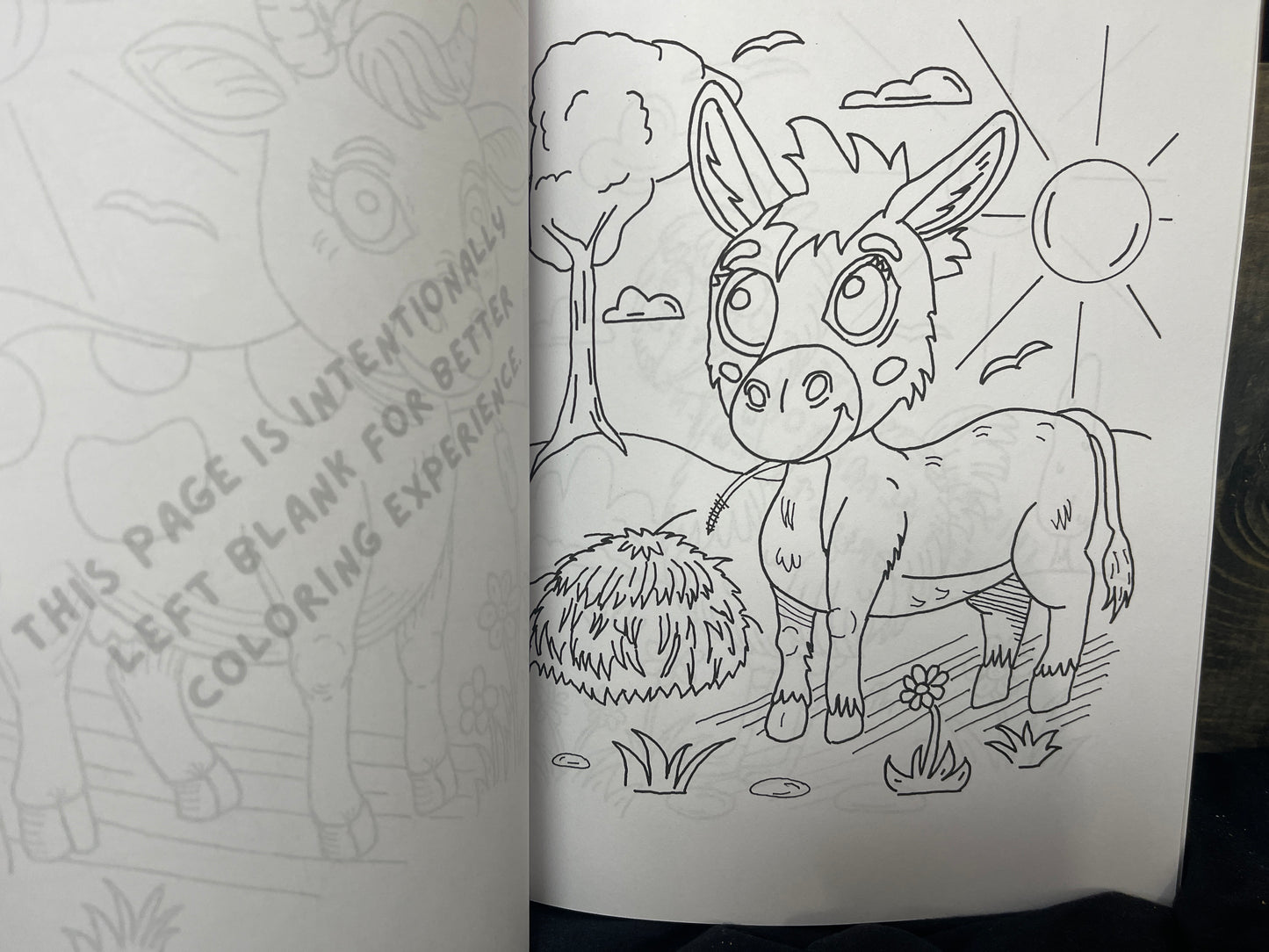 Critter Creations Volume One: Critters around a farm Hand-Drawn Coloring Book