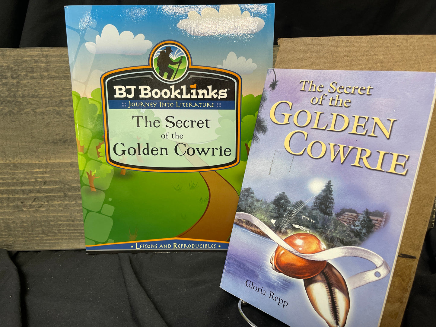 BJ Booklinks set The Secret of the Golden Cowrie