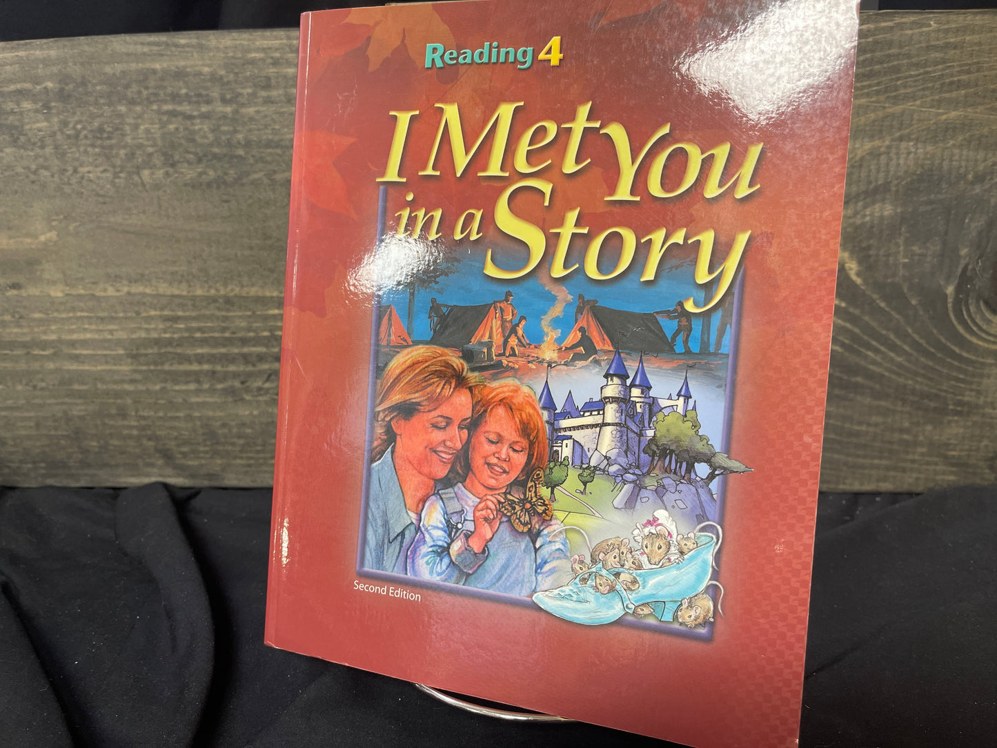 I Met You in a Story second ed text
