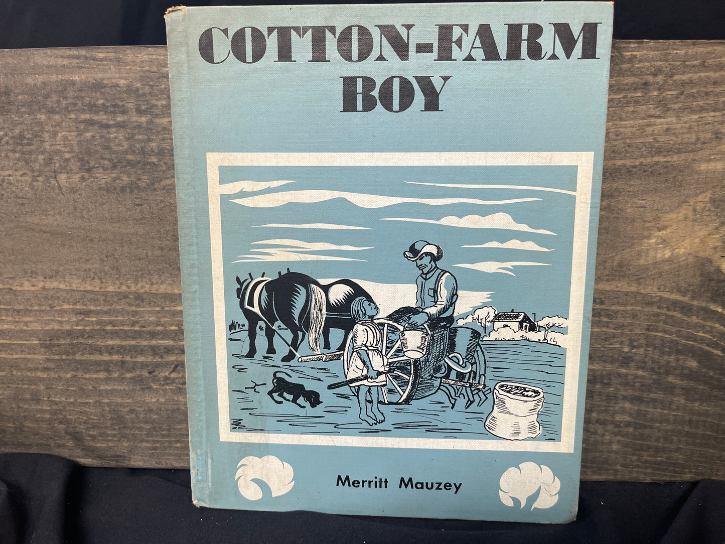 Cotton-Farm Boy
