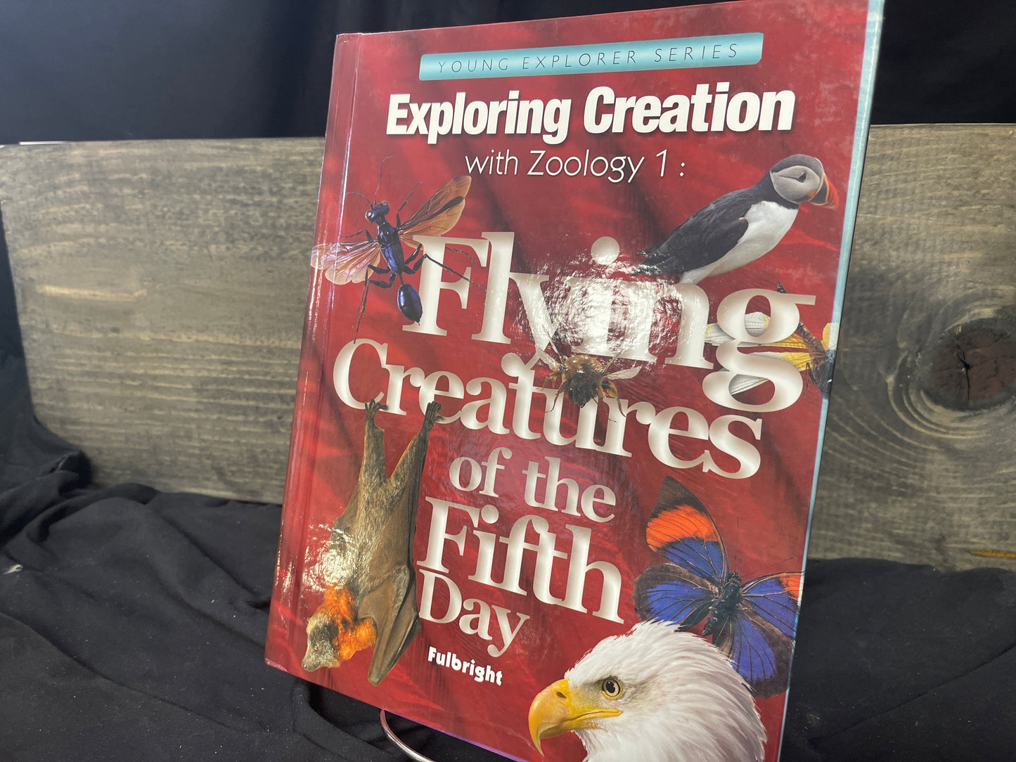 Exploring Creation with Zoology 1: Flying Creatures of the Fifth Day