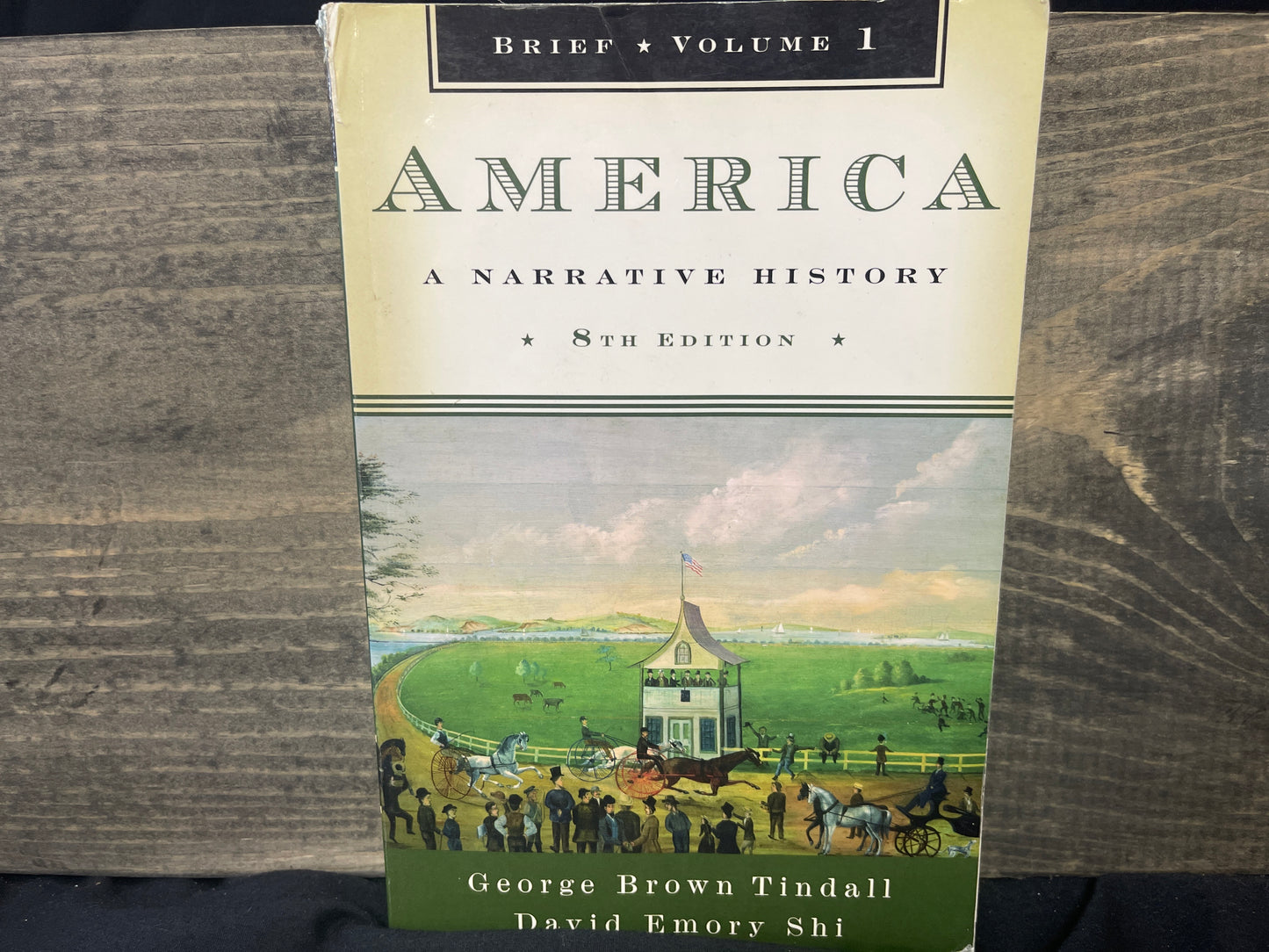 America: A Narrative History 8th ed