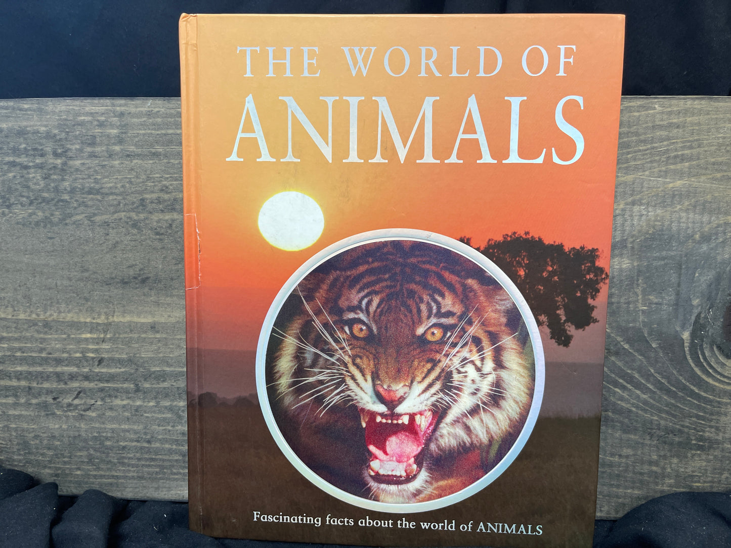 The World of Animals