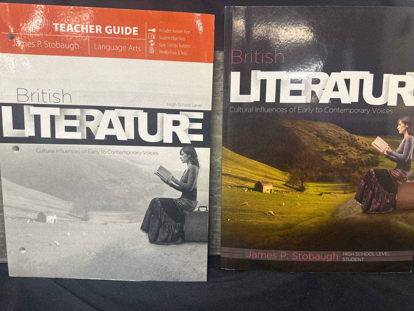 British Literature Student student, teacher set
