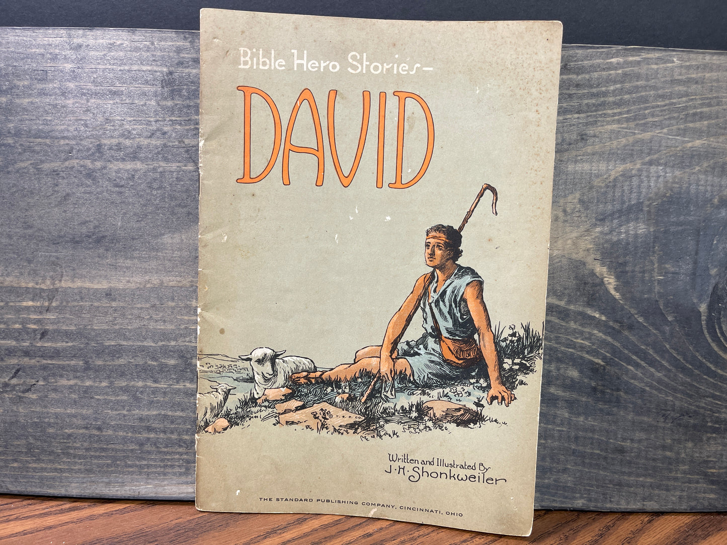 Bible Hero Stories - David