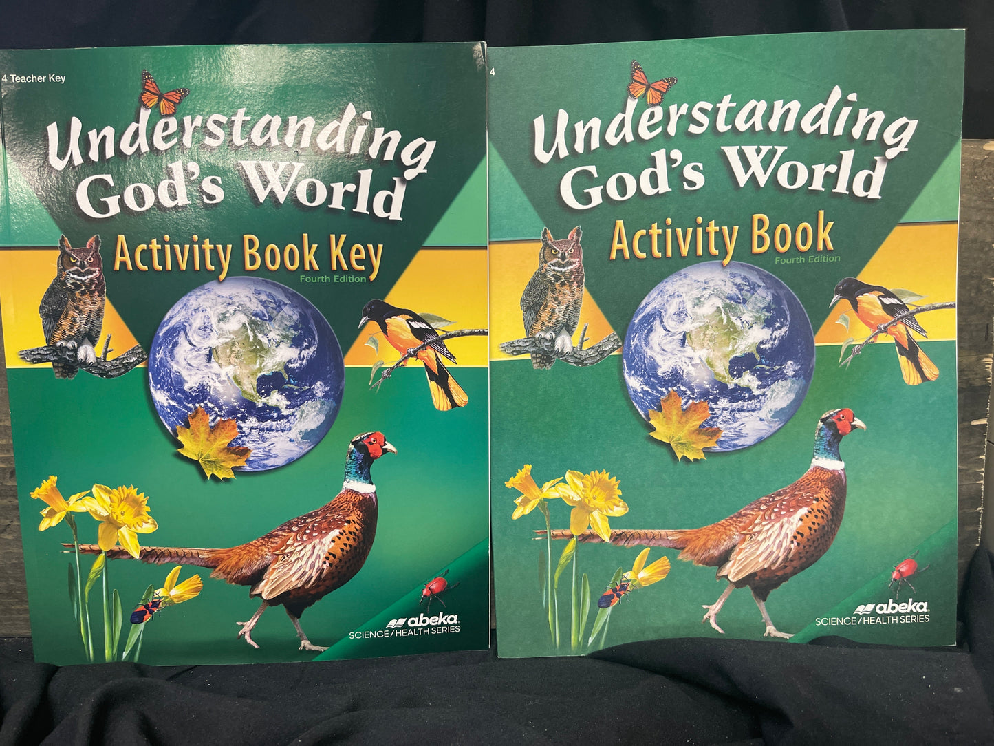 Understanding God's World Activity book and Teacher Key fourth ed