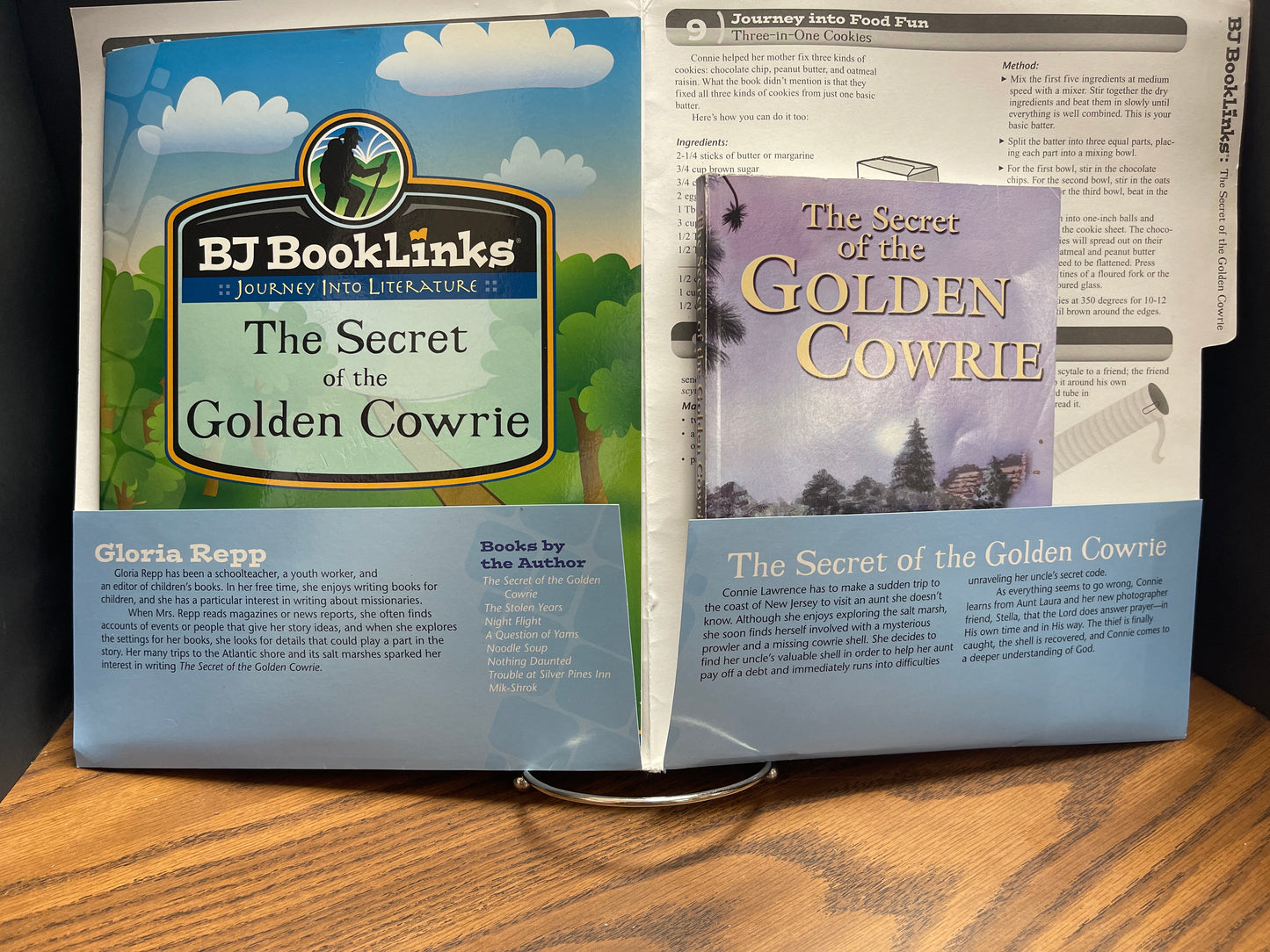 BJ BookLinks The Secret of the Golden Cowrie (guide and novel)