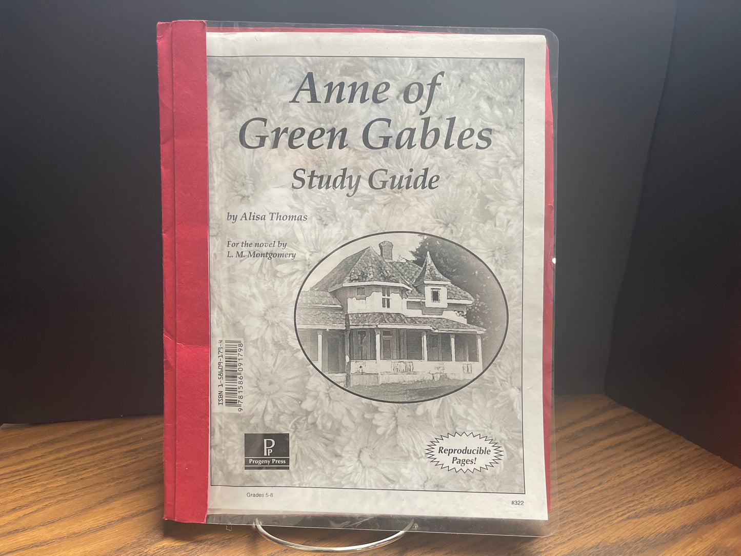 Anne of Green Gables study guide