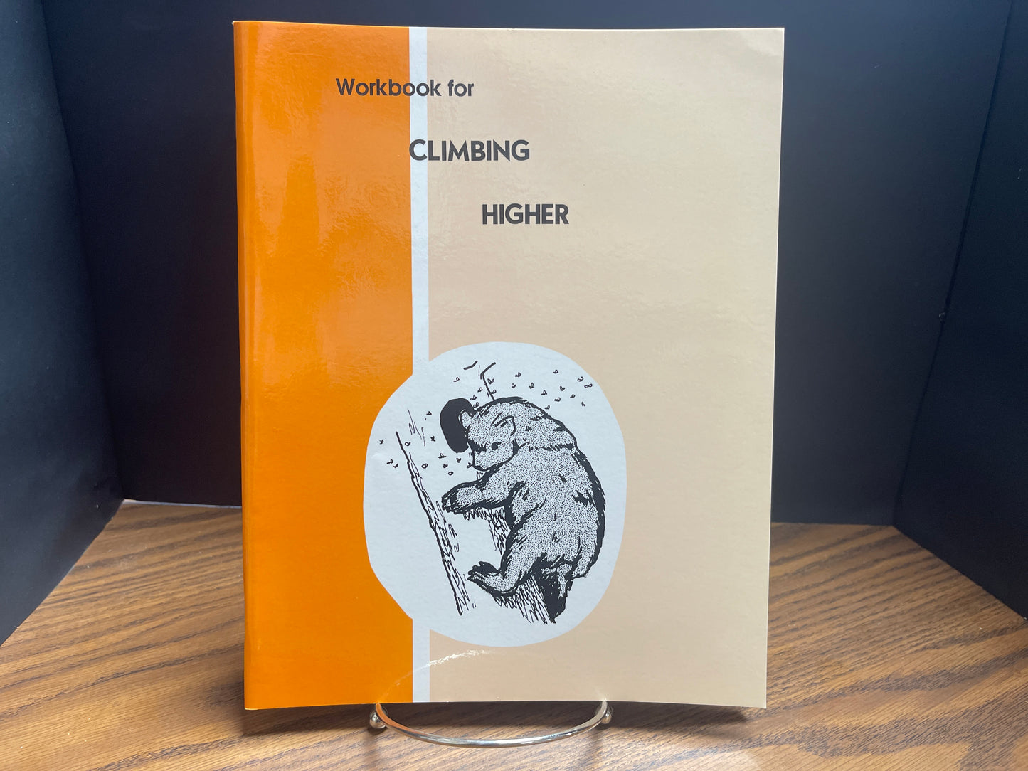 Workbook for Climbing Higher