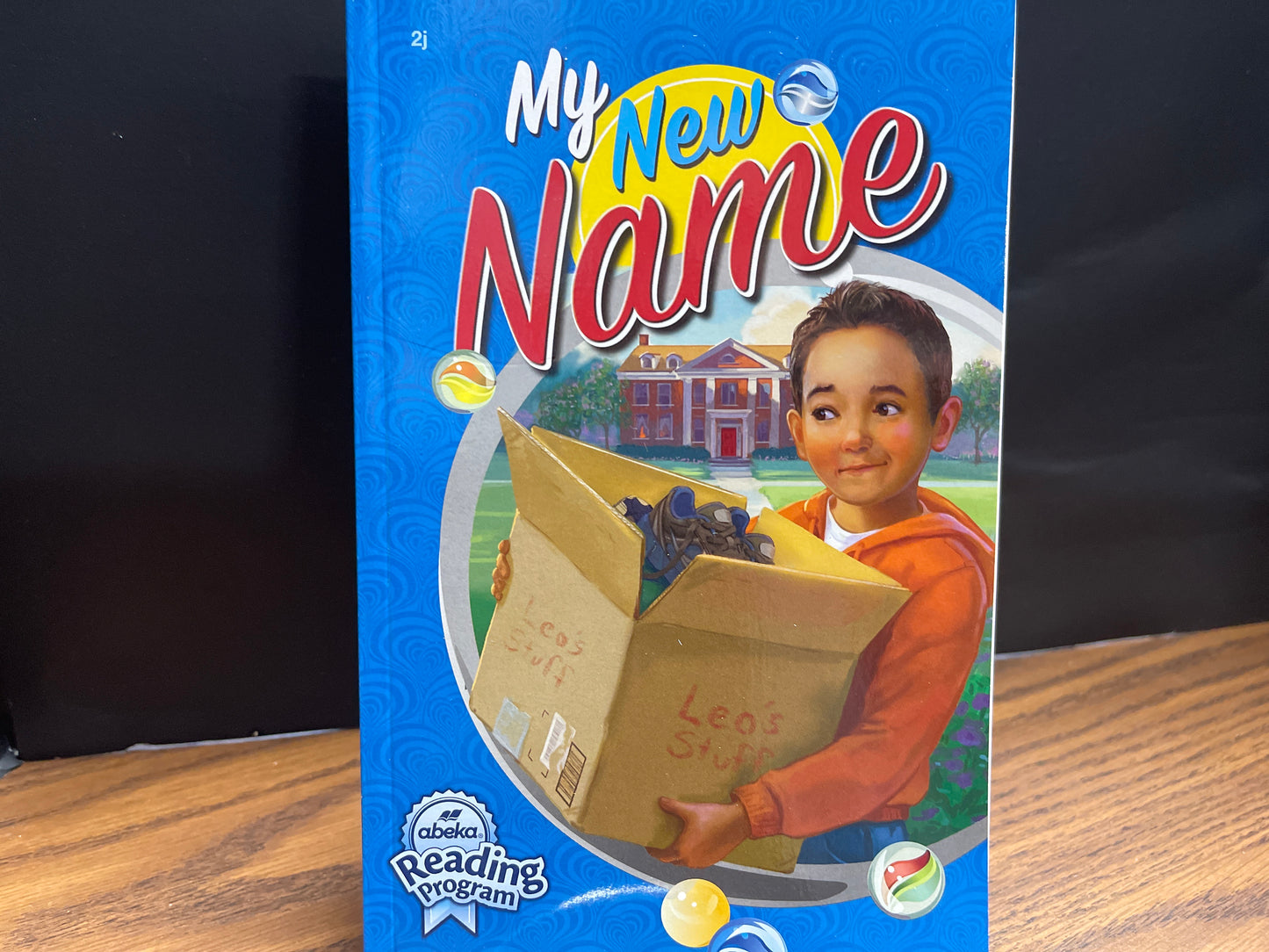 My New Name first ed