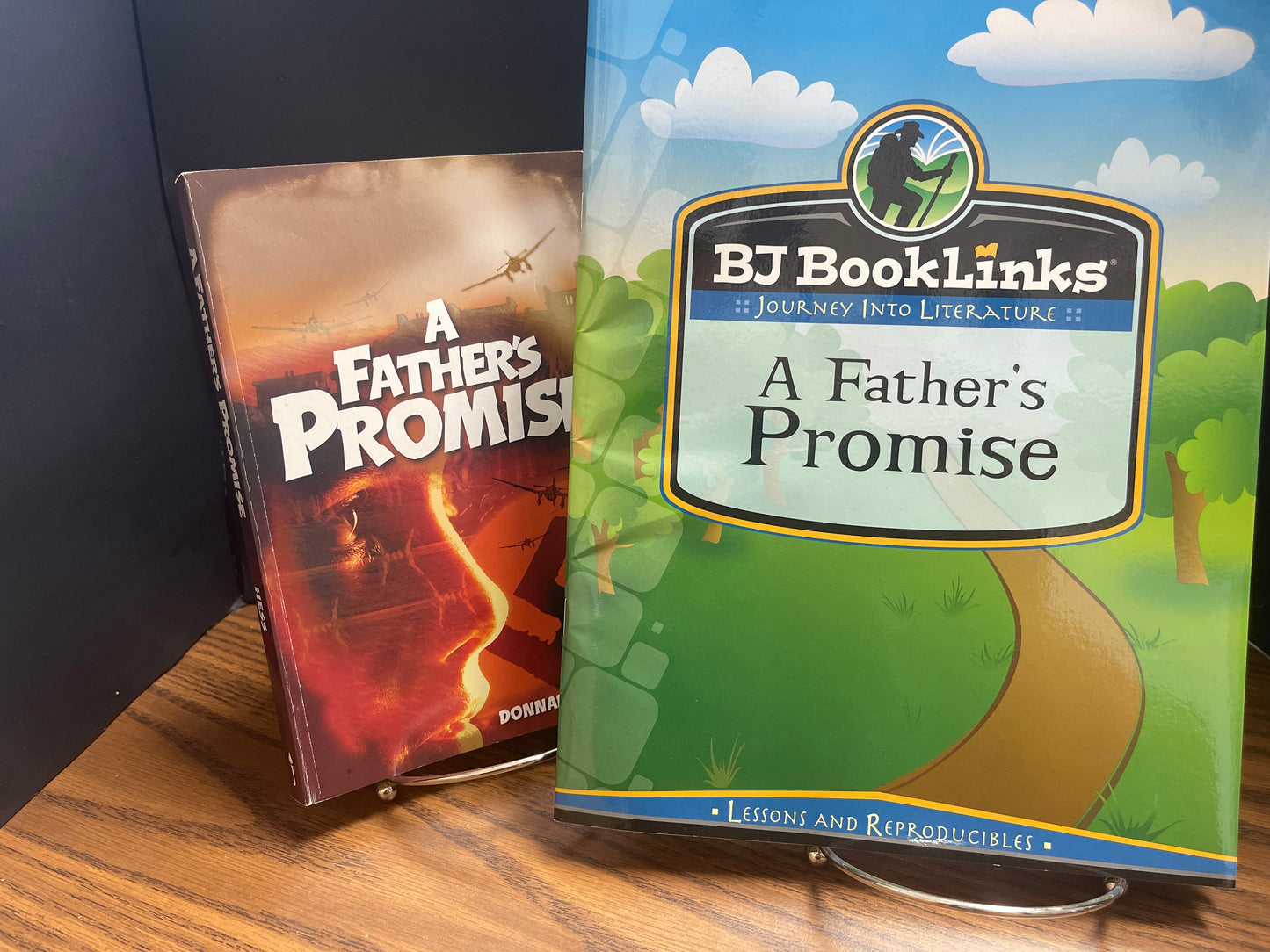 BJ BOOKLINKS A Father's Promise book