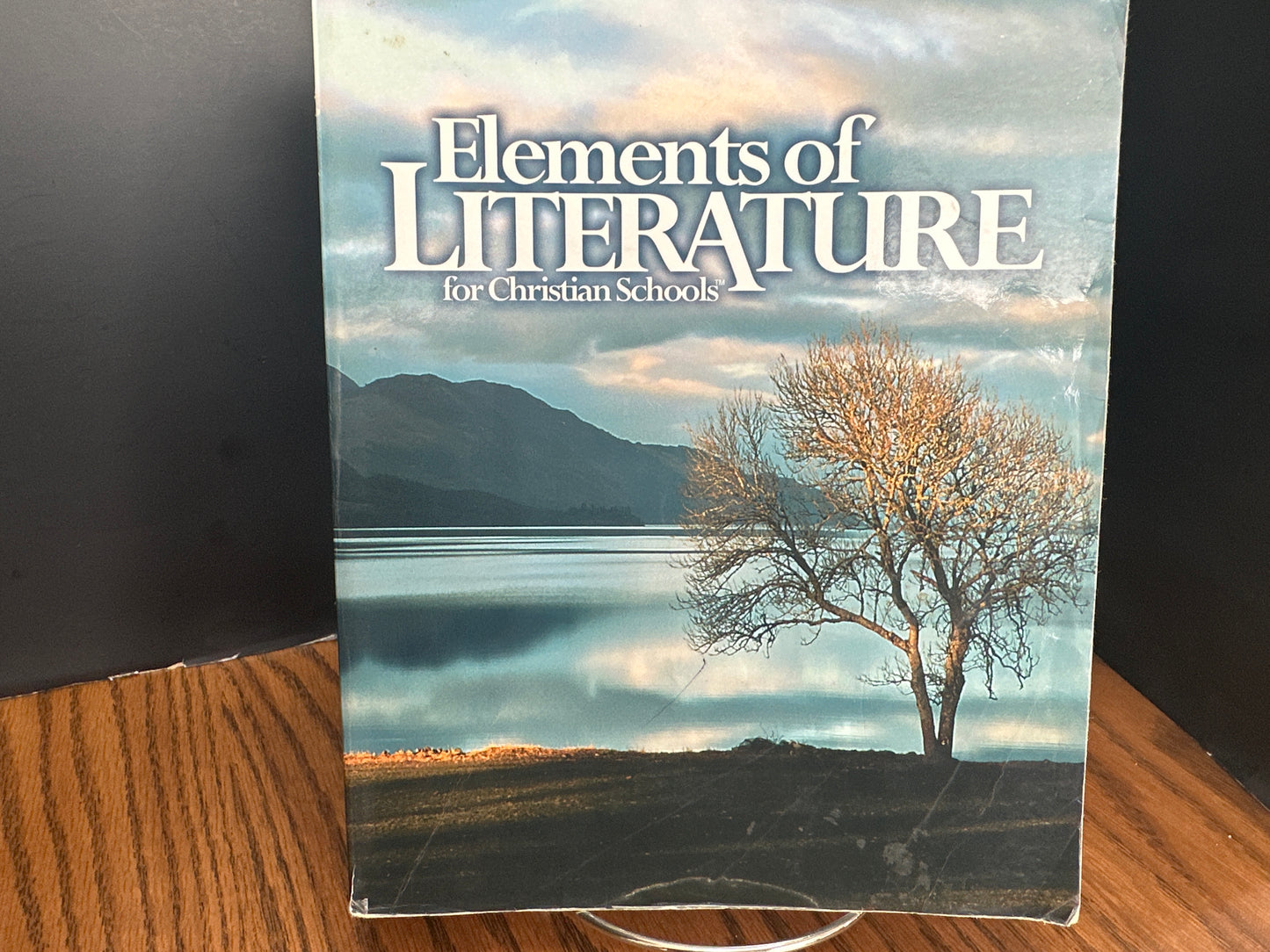 Elements of Literature Student first ed Text