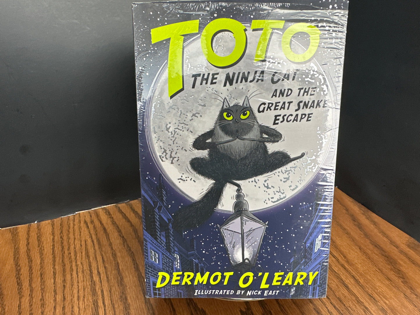 Toto the Ninja Cat 3 book set