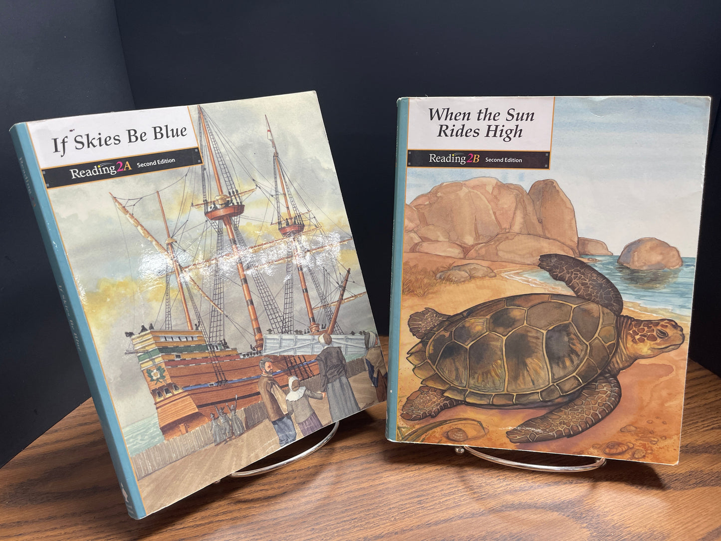 Reading 2 second ed set of two