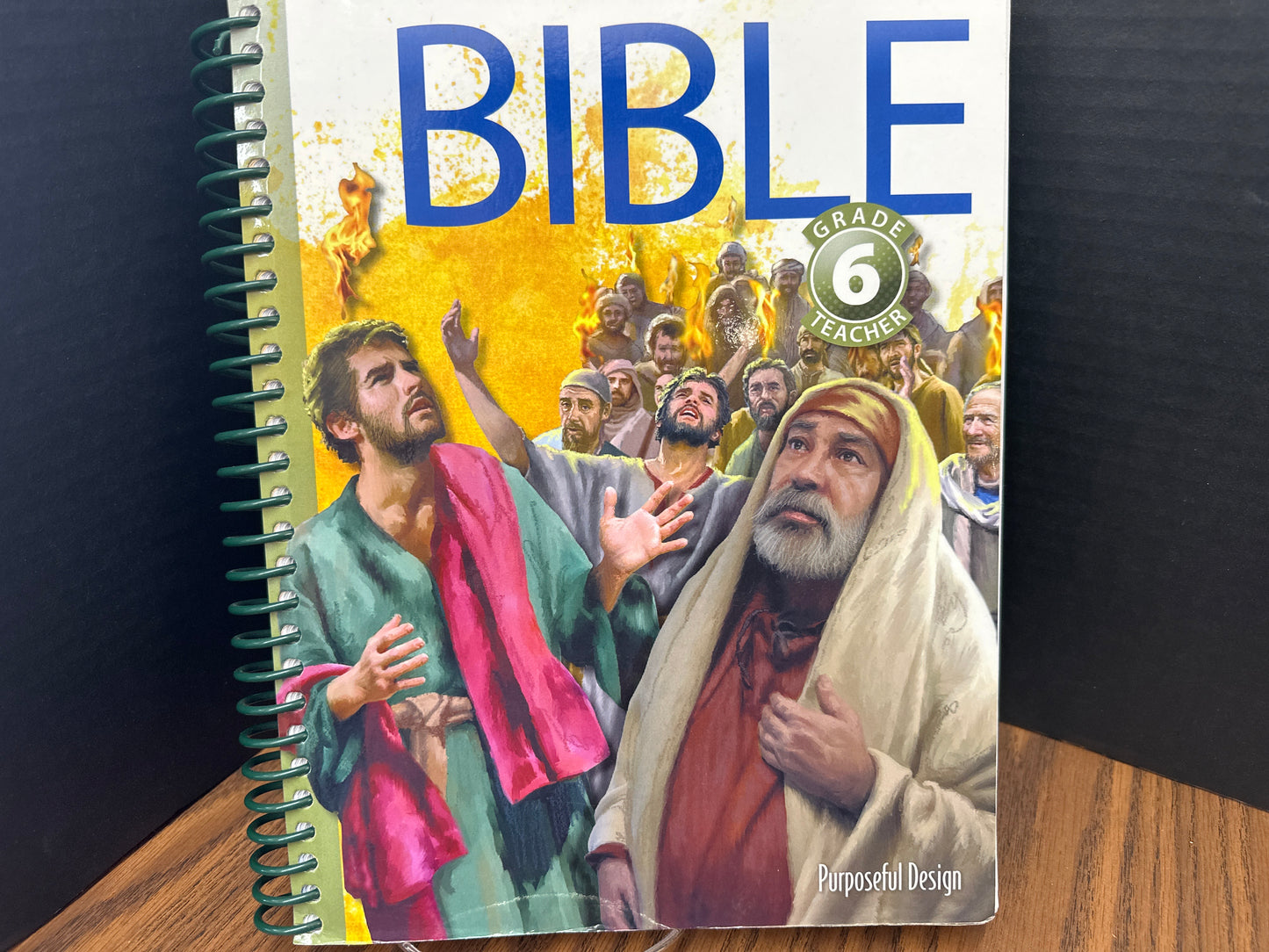 Bible Grade 6 teacher