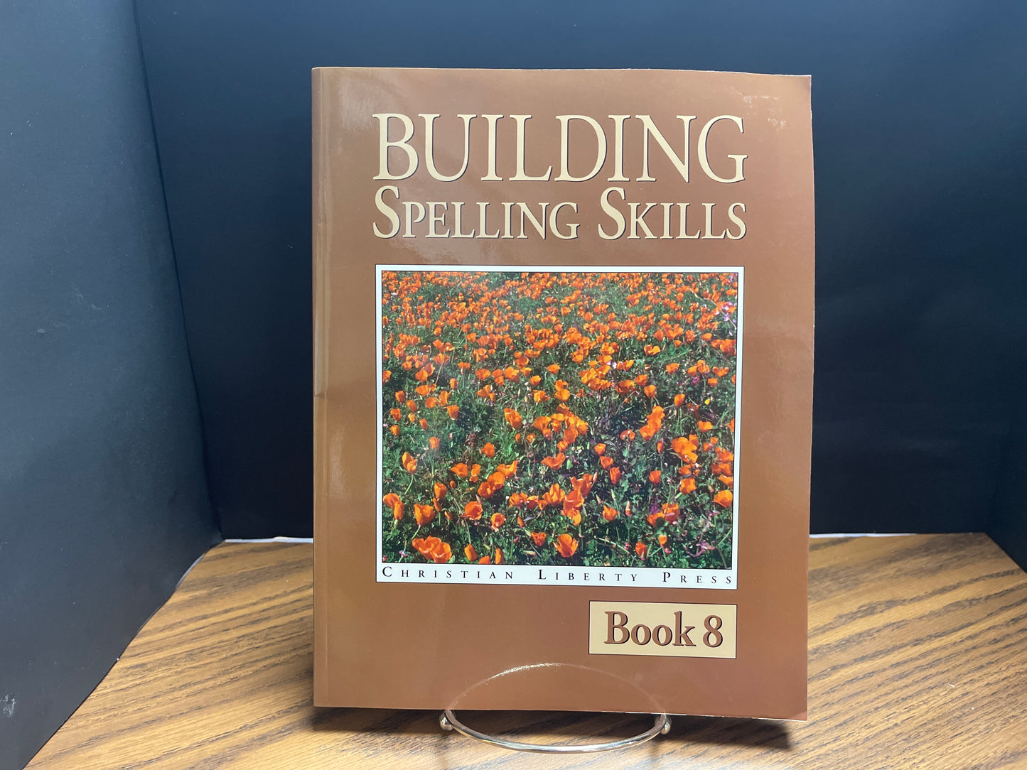 Building Spelling Skills Book 8