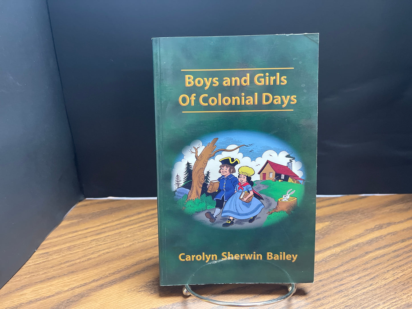 Boys and Girls of Colonial Days