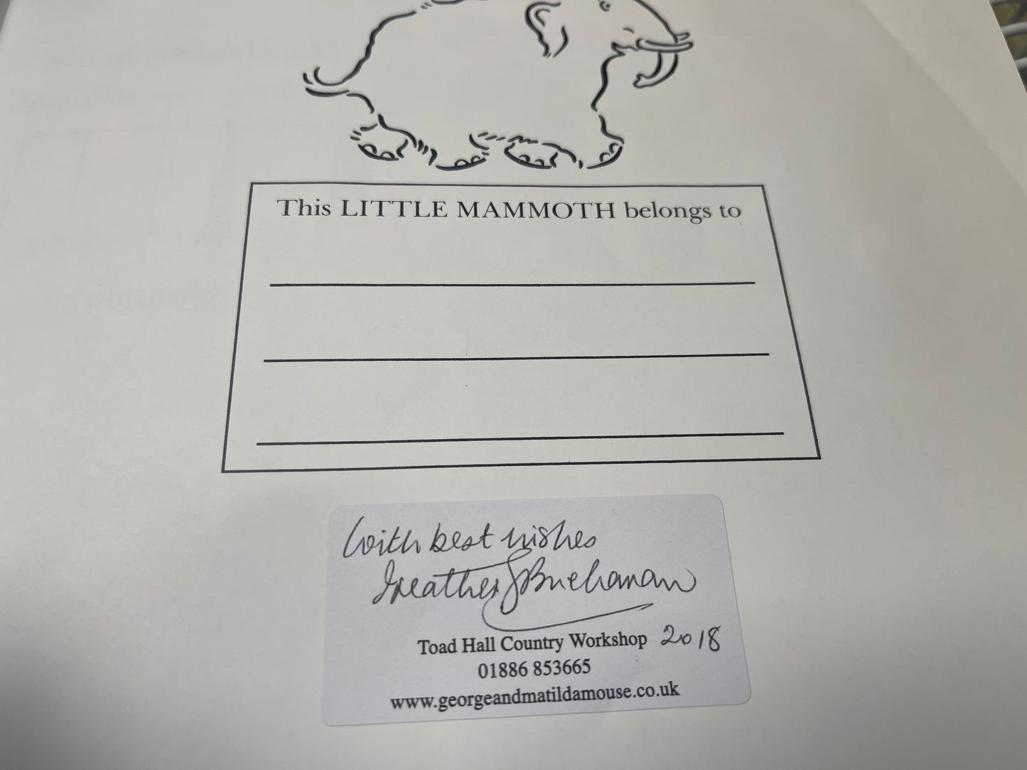 George and Matilda Mouse and the Dolls' House