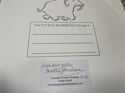 George and Matilda Mouse and the Dolls' House