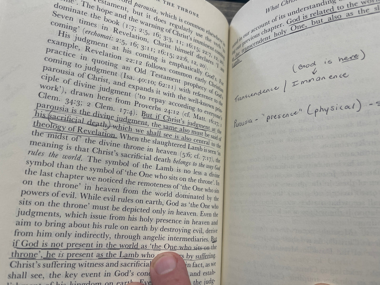 The Theology of the Book of Revelation *see description