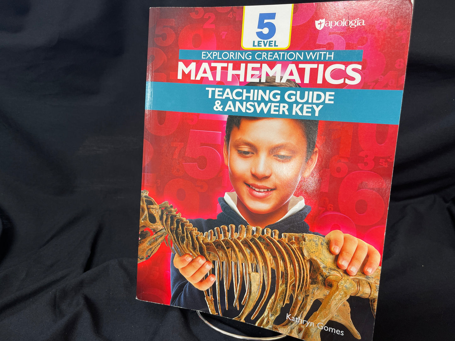 Exploring Creation With Mathematics teaching guide