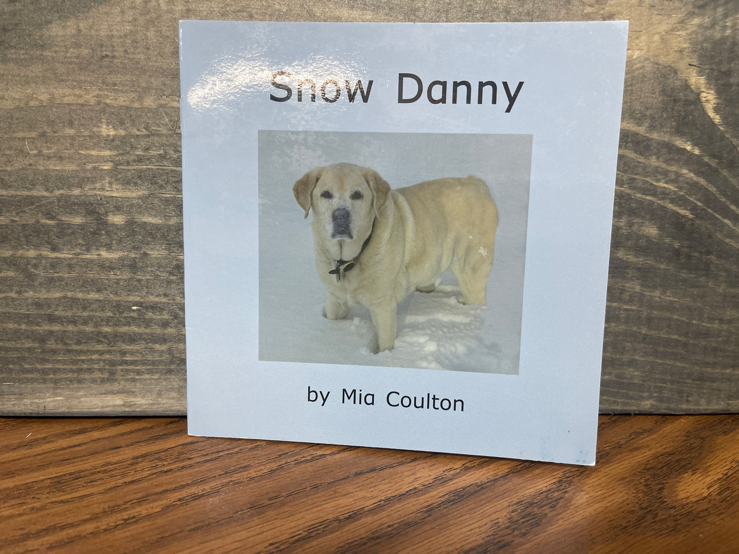 Snow Danny - Mia Coulton