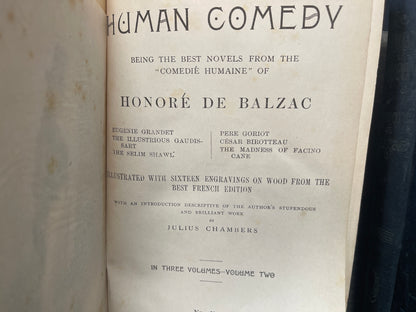 The Human Comedy - Peter Fenelon Collier
