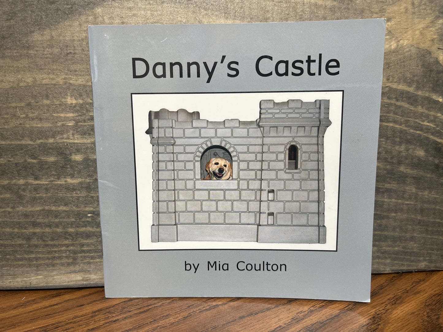 Danny's Castle - Mia Coulton