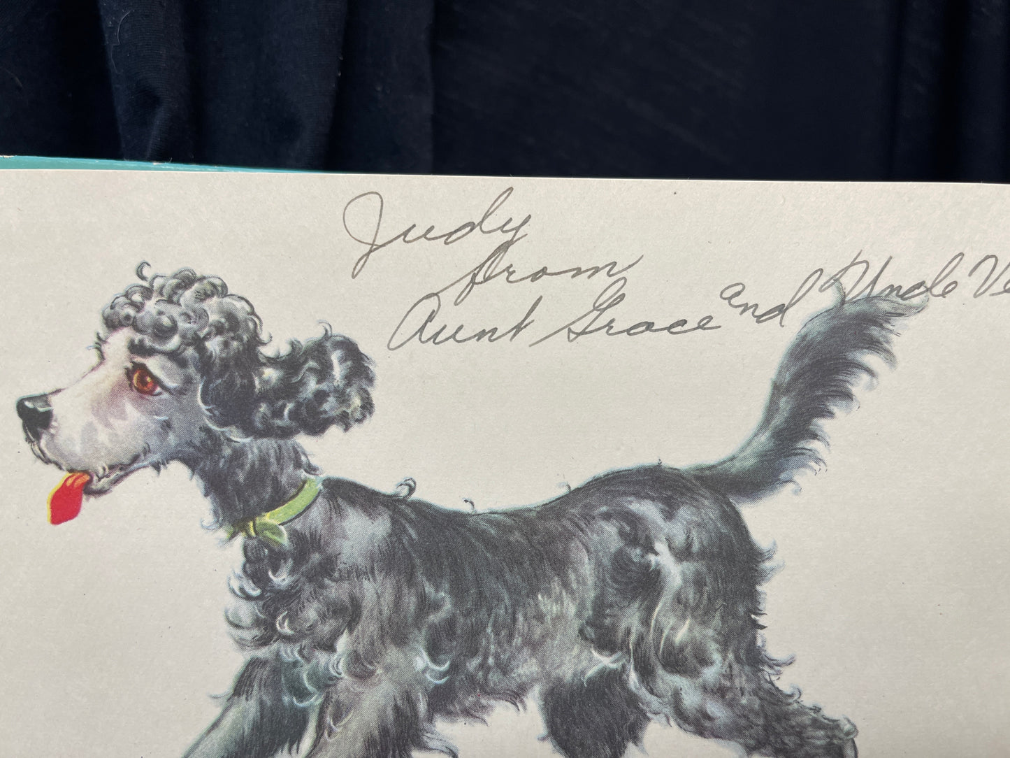 Woofus the woolly Dog, with dust jacket