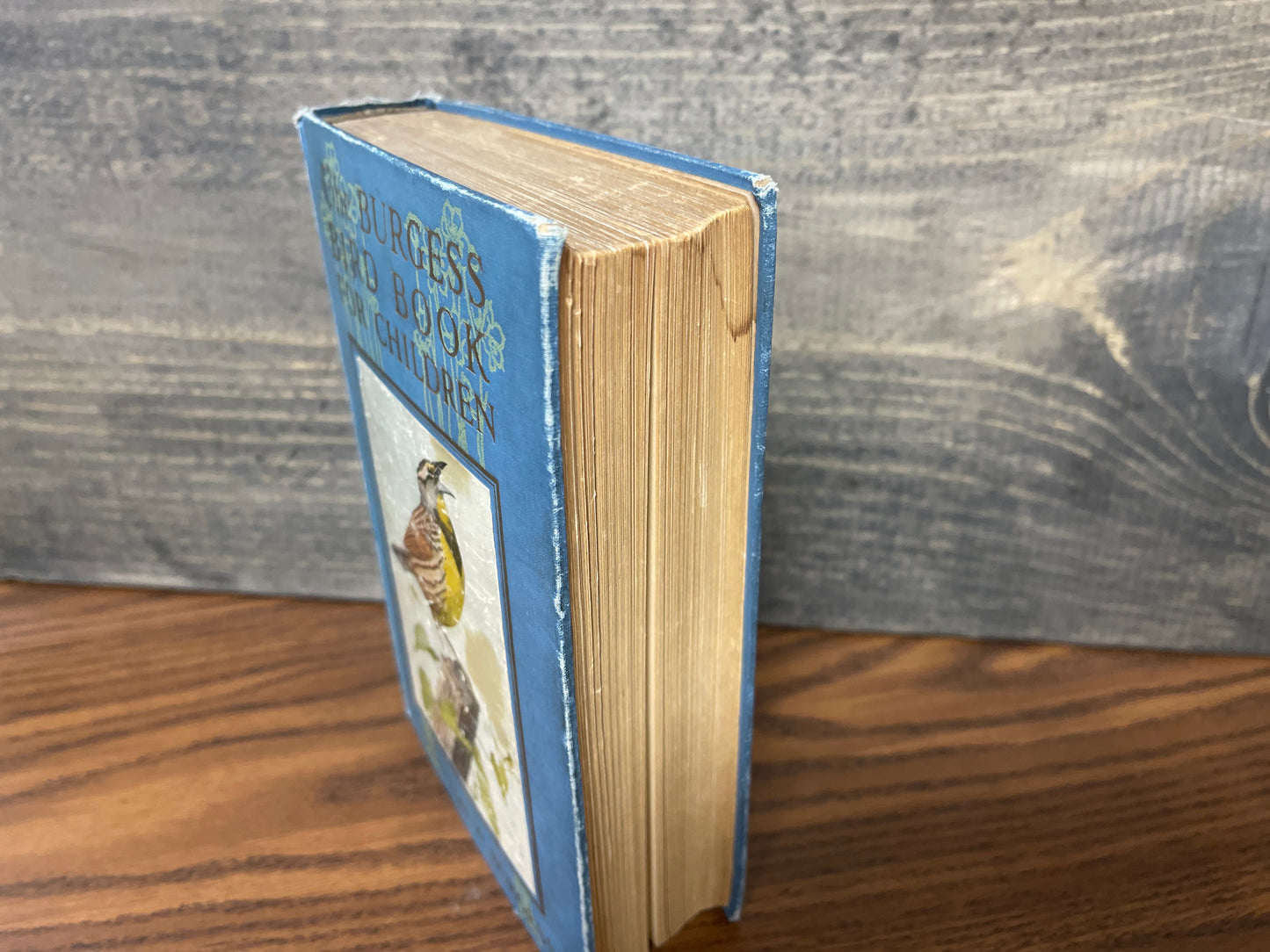The Burgess Bird Book for Children – Thornton W. Burgess HC 1928