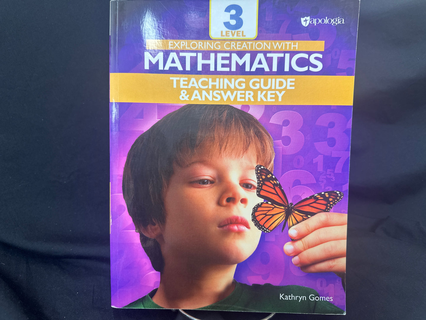 Exploring Creation with Mathematics level 3 teaching guide