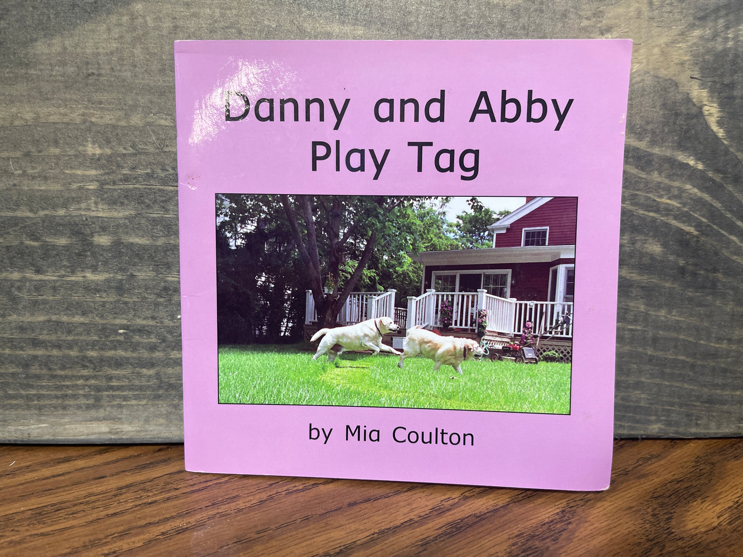 Danny and Abby Play Tag - Mia Coulton