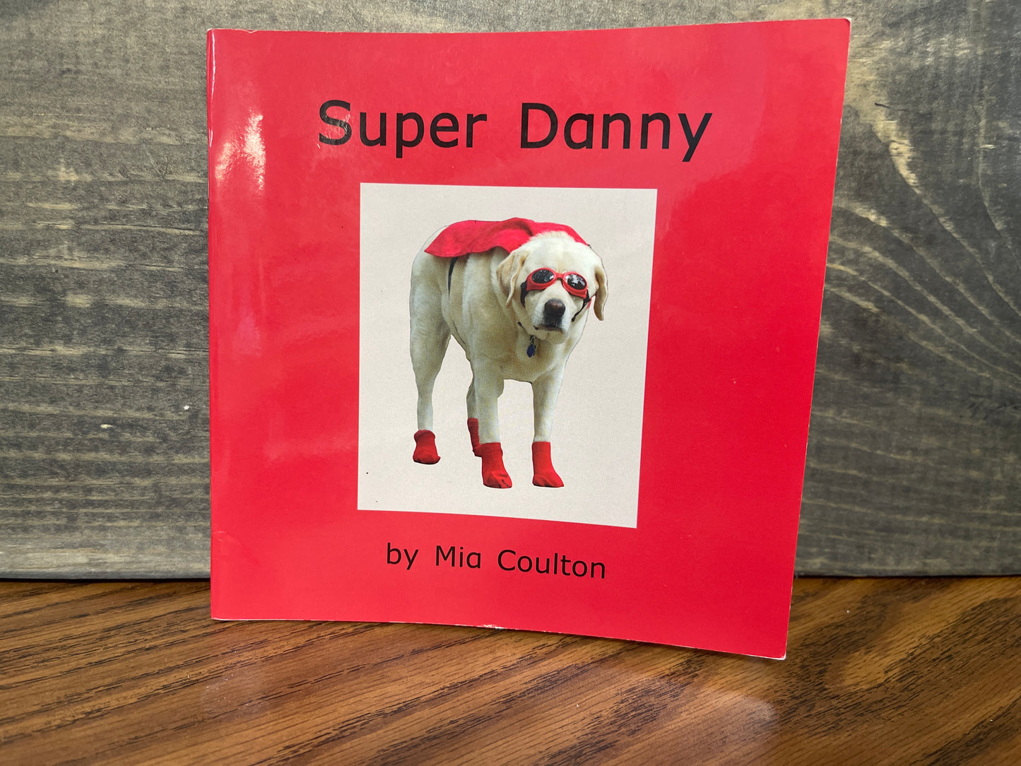 Super Danny by Mia Coulton