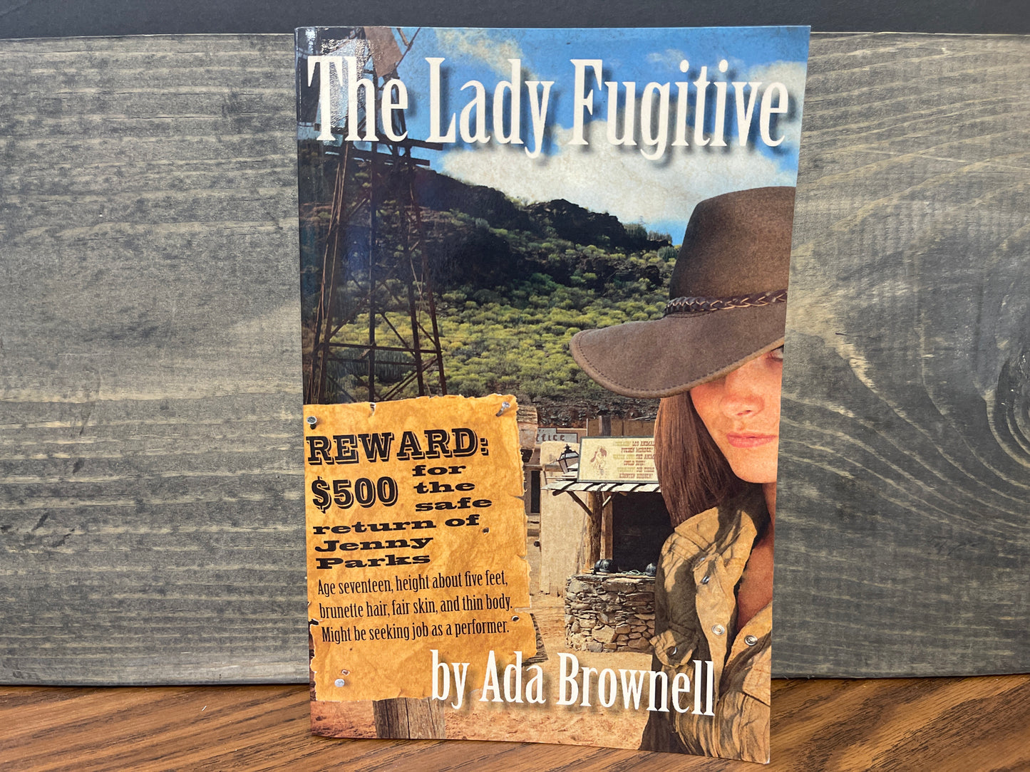 The Lady Fugitive - Ada Brownell