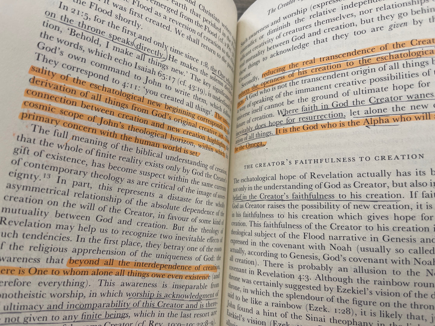 The Theology of the Book of Revelation *see description