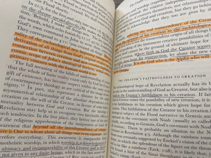 The Theology of the Book of Revelation *see description