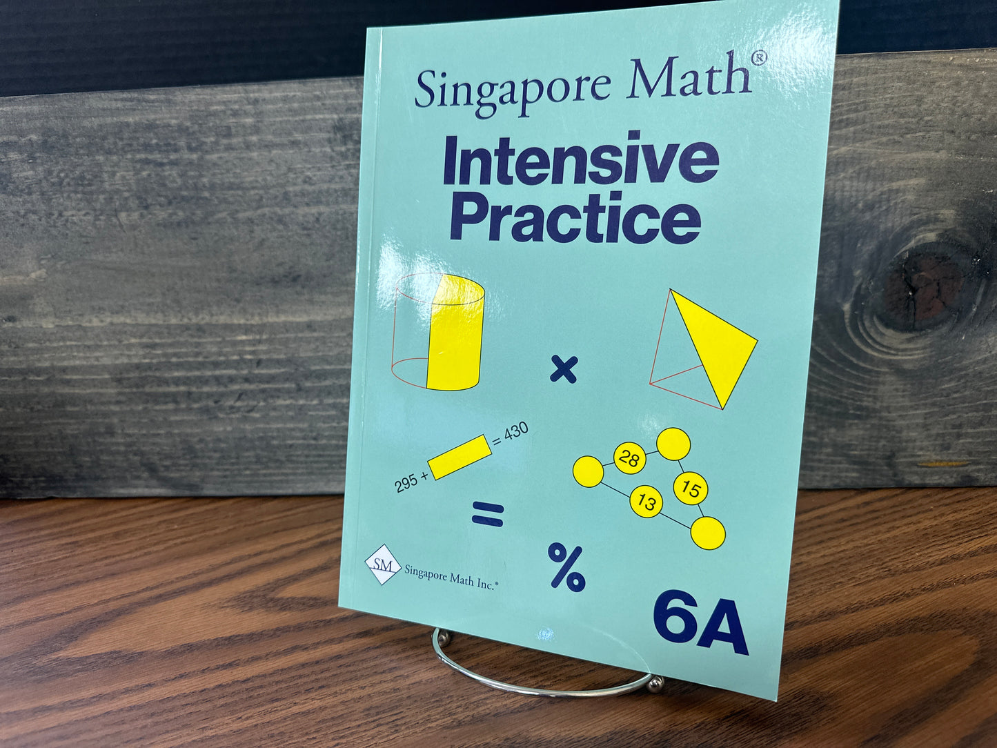 Singapore Math intensive practice 6A