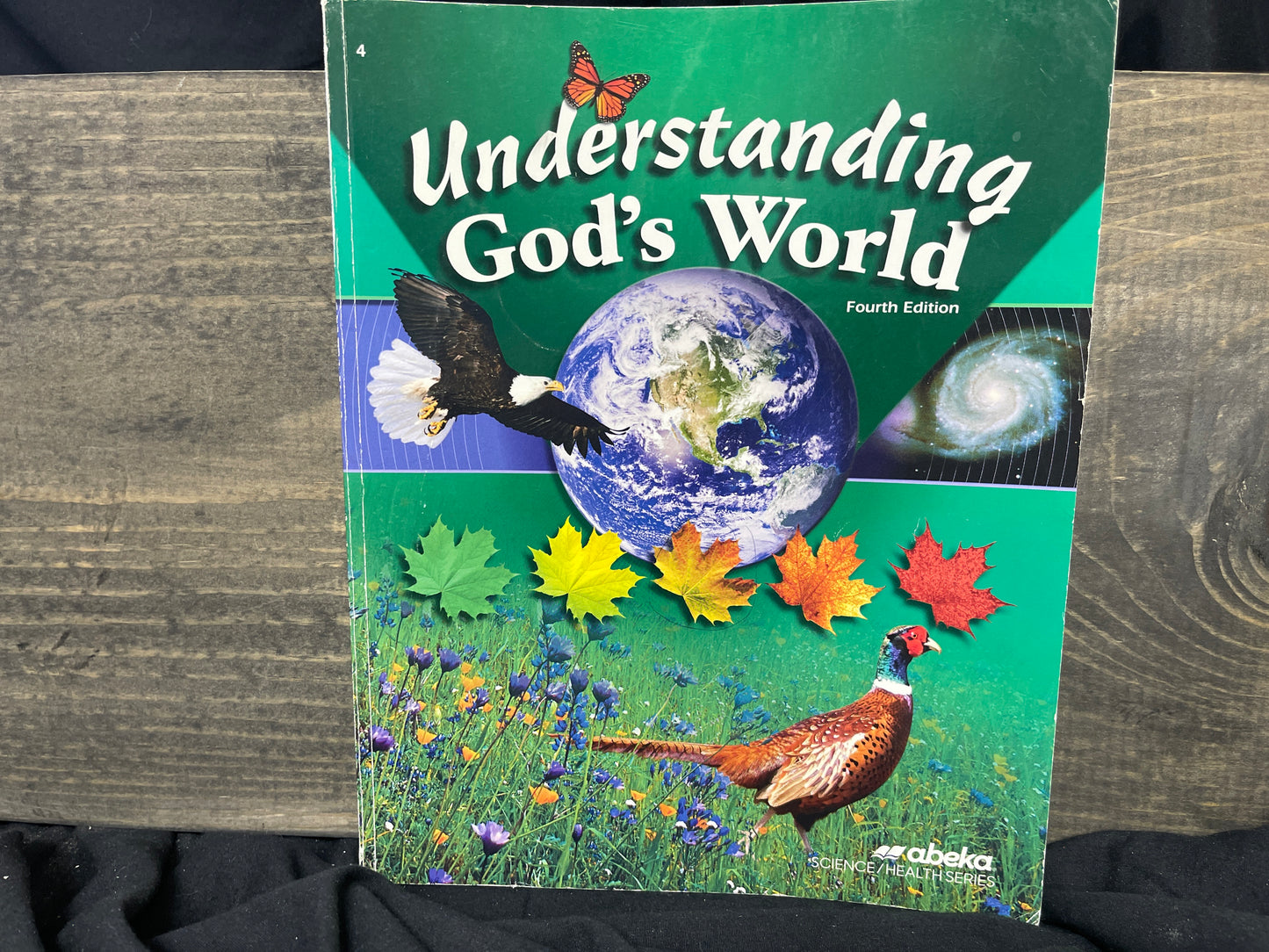 Understanding God's World fourth ed