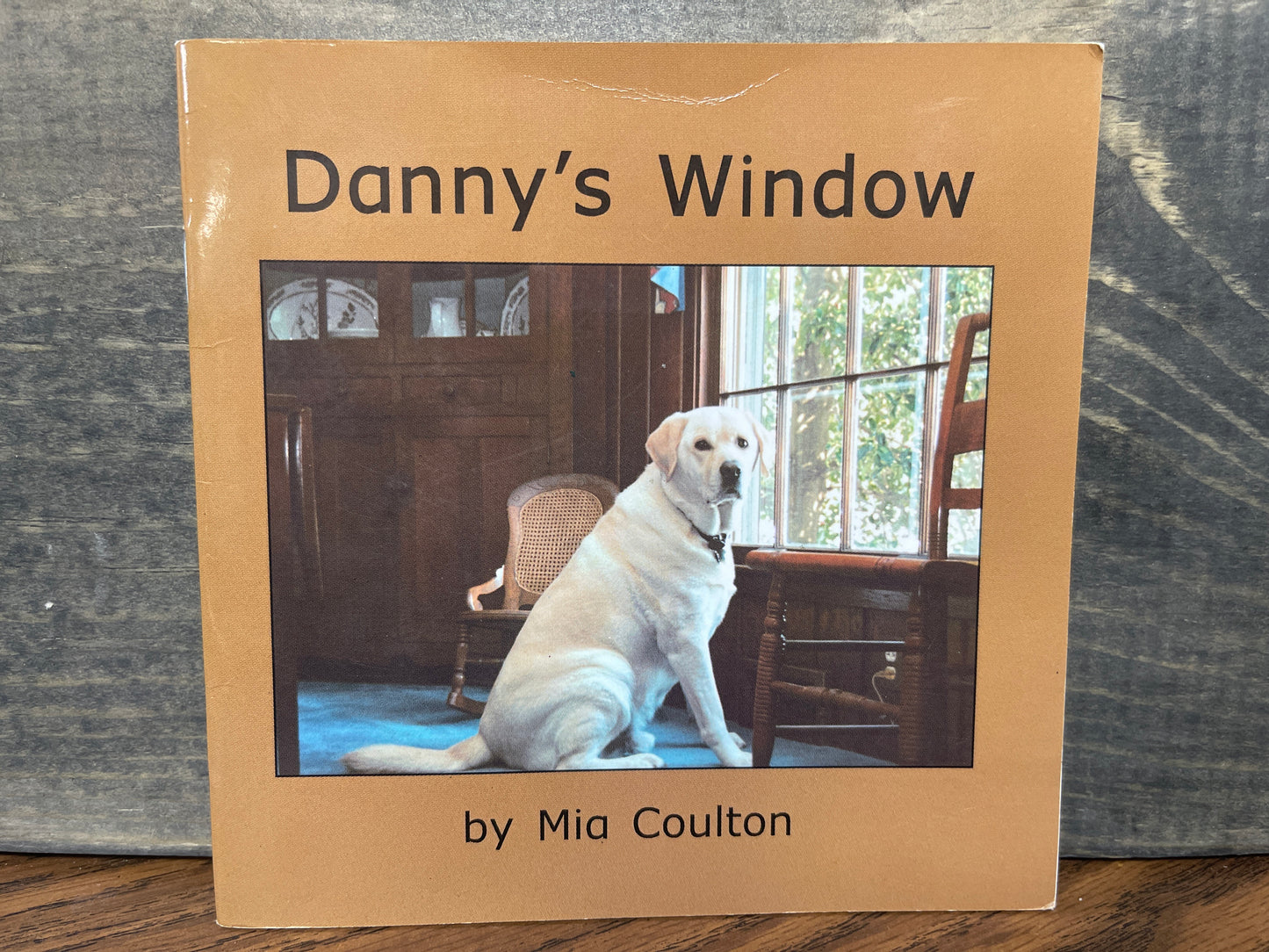 Danny's Window